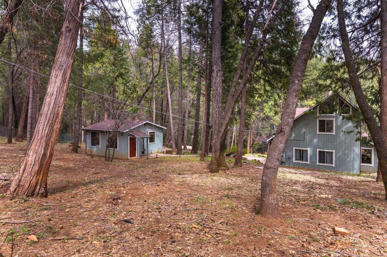 فندق Little House In The Big Woods Forest Ranch المظهر الخارجي الصورة